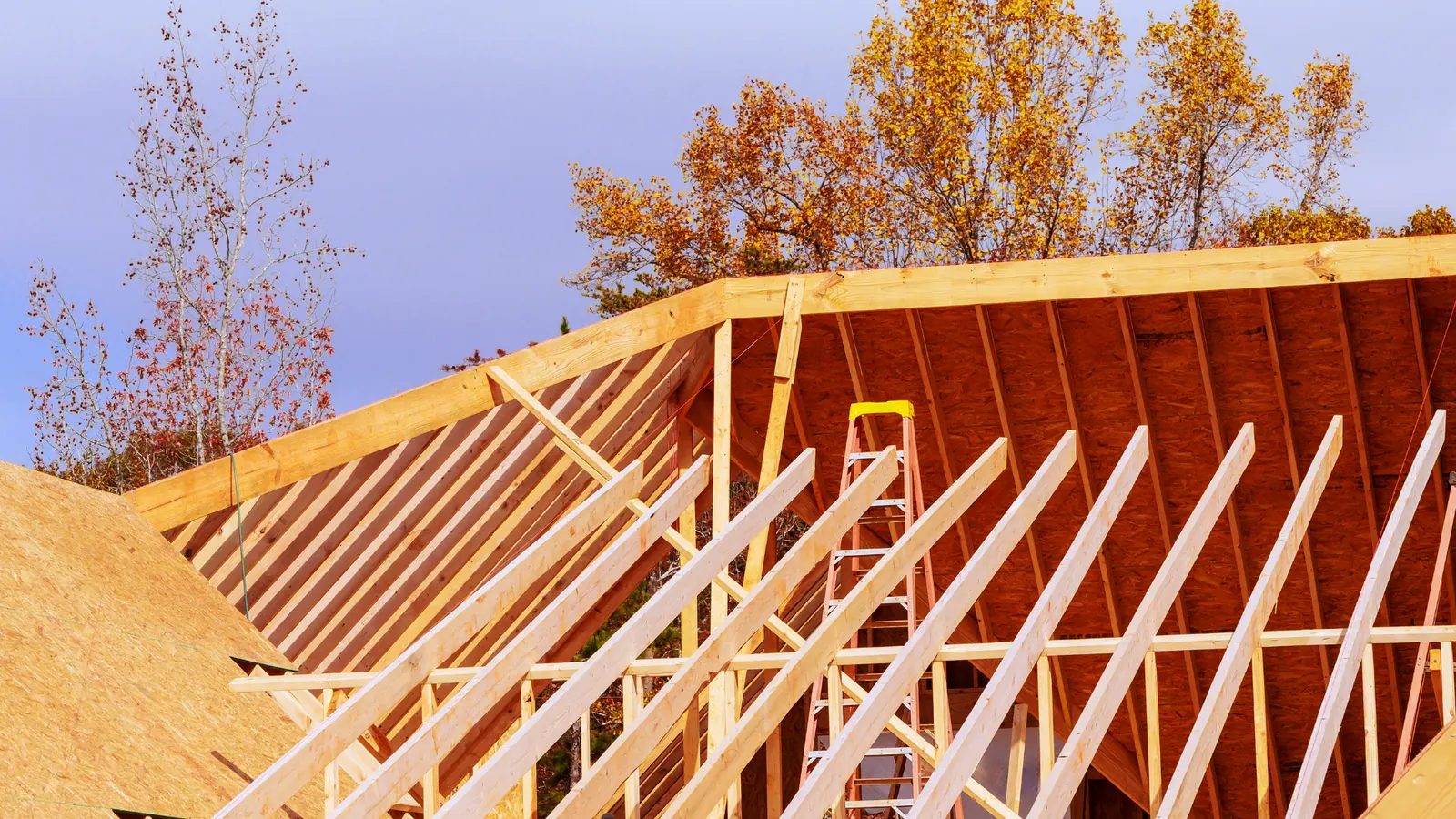 Timber roof rafters of a house frame against an autumn sky